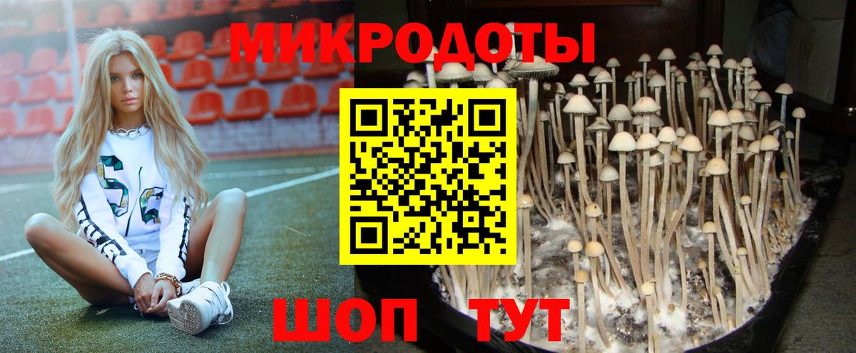 Галлюциногенные грибы Psilocybine cubensis Баксан